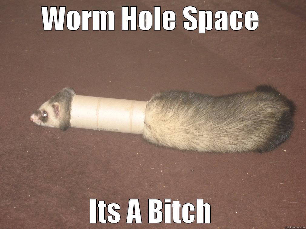 WORM HOLE SPACE ITS A BITCH Misc