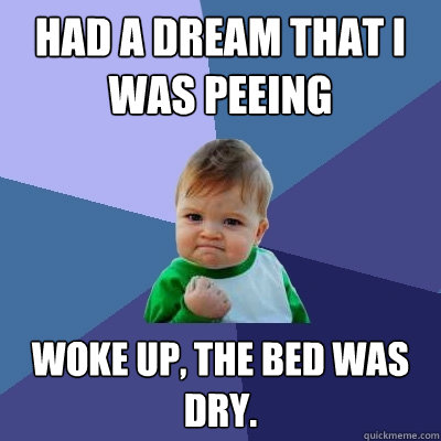 Had a dream that I was peeing Woke up, the bed was dry.  Success Kid