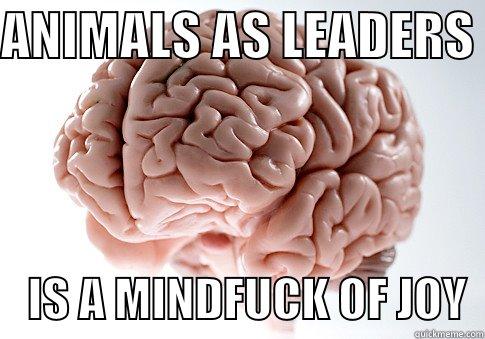 NAH LOL - ANIMALS AS LEADERS      IS A MINDFUCK OF JOY  Scumbag Brain