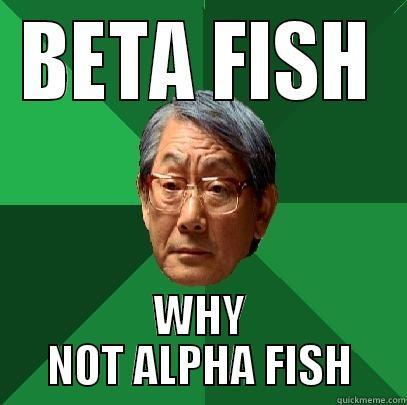 BETA FISH WHY NOT ALPHA FISH High Expectations Asian Father