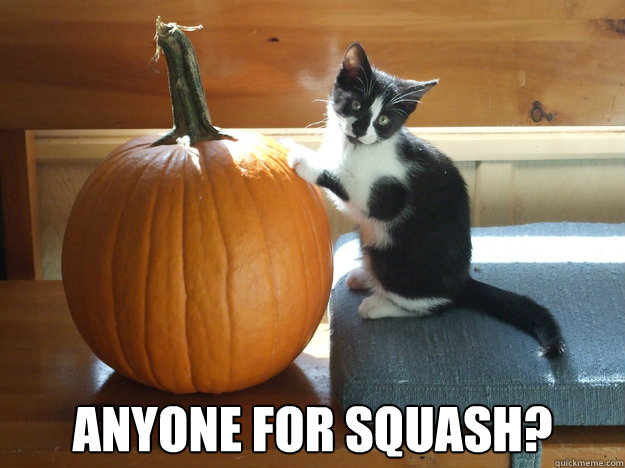 Anyone for squash?  Anyone for Squash