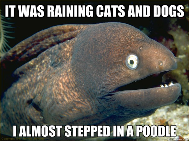 It was raining cats and dogs I almost stepped in a poodle  Bad Joke Eel