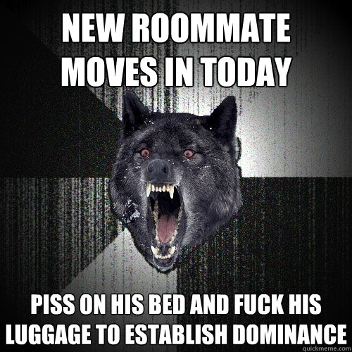 new roommate
moves in today piss on his bed and fuck his luggage to establish dominance  Insanity Wolf