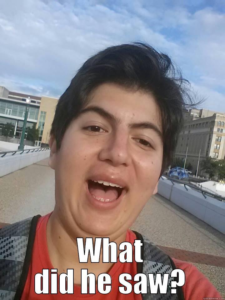 Ismael meme -  WHAT DID HE SAW? Misc