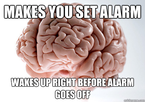 makes you set alarm Wakes up right before alarm goes off  Scumbag Brain