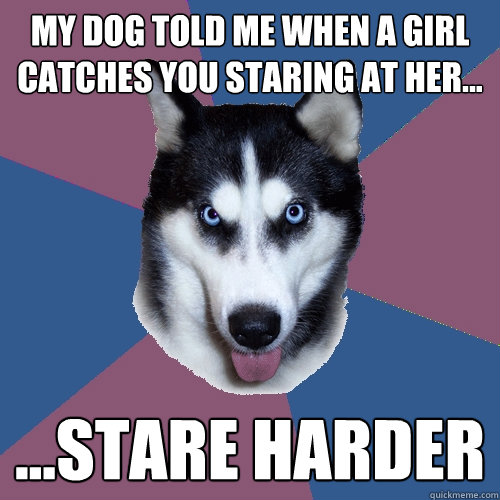 My dog told me when a girl catches you staring at her... ...stare harder - My dog told me when a girl catches you staring at her... ...stare harder  Creeper Canine