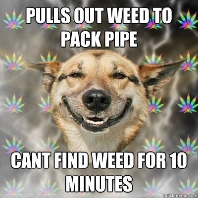 pulls out weed to pack pipe cant find weed for 10 minutes  Stoner Dog