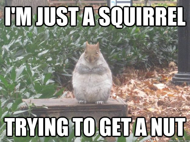 I'm just a squirrel trying to get a nut - I'm just a squirrel trying to get a nut  Misc