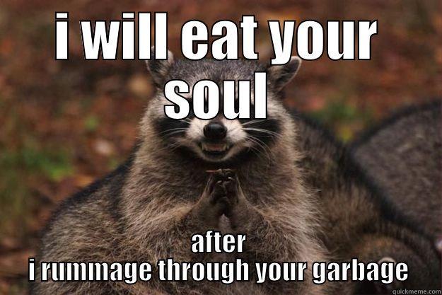 I WILL EAT YOUR SOUL AFTER I RUMMAGE THROUGH YOUR GARBAGE Evil Plotting Raccoon