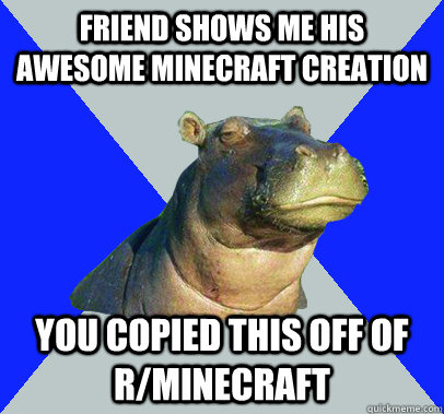 friend shows me his awesome minecraft creation you copied this off of r/minecraft  Skeptical Hippo