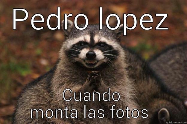 RACUMIN MALIANTE - PEDRO LOPEZ CUANDO MONTA LAS FOTOS  Evil Plotting Raccoon