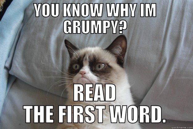 YOU KNOW WHY IM GRUMPY? READ THE FIRST WORD. Grumpy Cat