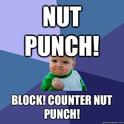 Nut punch! Block! Counter nut punch!  Success Kid