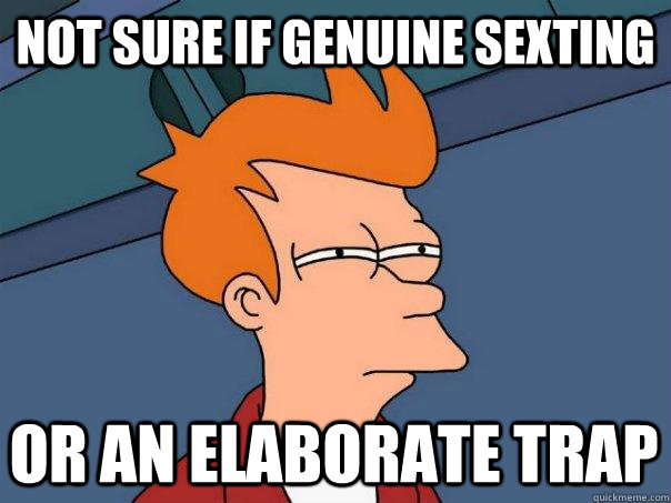 Not sure if genuine sexting or an elaborate trap  Futurama Fry