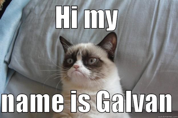 HI MY  NAME IS GALVAN Grumpy Cat