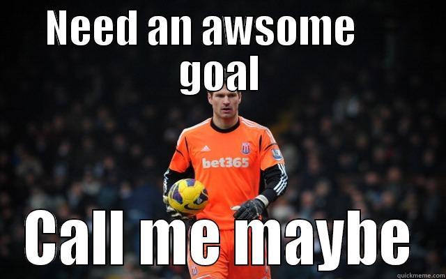 NEED AN AWSOME      GOAL CALL ME MAYBE Misc