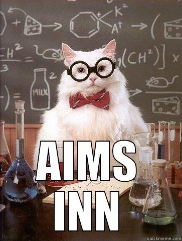  AIMS INN Chemistry Cat