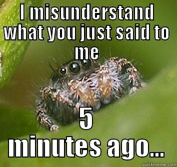 I MISUNDERSTAND WHAT YOU JUST SAID TO ME 5 MINUTES AGO... Misunderstood Spider