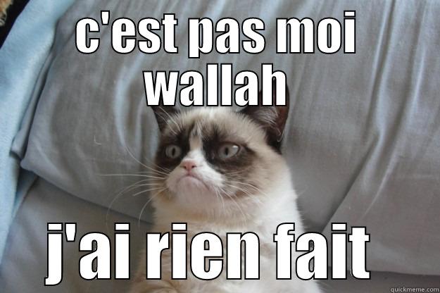 C'EST PAS MOI WALLAH J'AI RIEN FAIT  Grumpy Cat