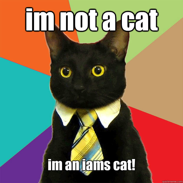 im not a cat im an iams cat! Caption 3 goes here  Business Cat