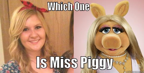                         WHICH ONE                                           IS MISS PIGGY            Misc