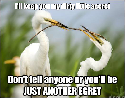 I'll keep you my dirty little secret Don't tell anyone or you'll be JUST ANOTHER EGRET - I'll keep you my dirty little secret Don't tell anyone or you'll be JUST ANOTHER EGRET  Just Another Egret