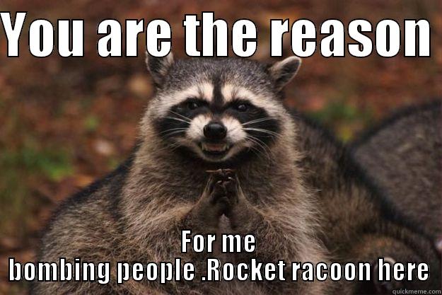 YOU ARE THE REASON  FOR ME BOMBING PEOPLE .ROCKET RACOON HERE Evil Plotting Raccoon